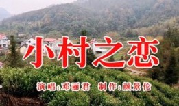 村 在线观看,村在线观看之旅