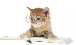 娱乐吃瓜君猫猫,揭秘娱乐圈那些不为人知的幕后故事